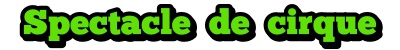 Spectacle de cirque